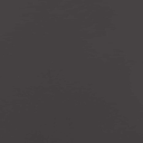 Privacyscherm Zwart 50 x 140 cm Koudgewalst staal 9