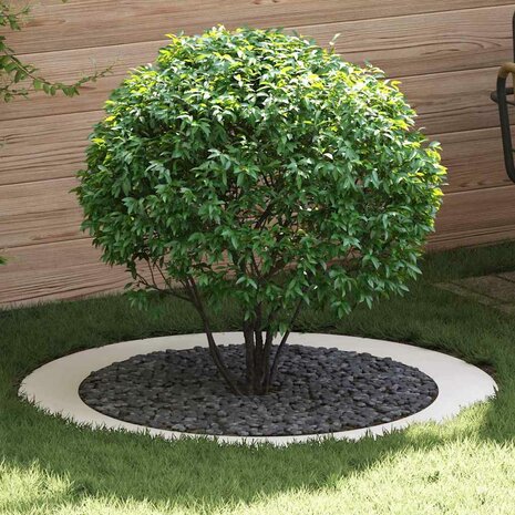 Boomringen 5 pcs Wit &Oslash;90 / 120 cm Staal 1