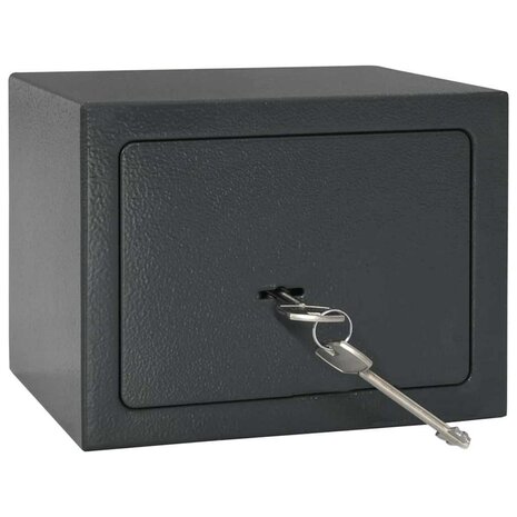 Kluis met slot Donkergrijs 23 x 17 x 17 cm Staal 2
