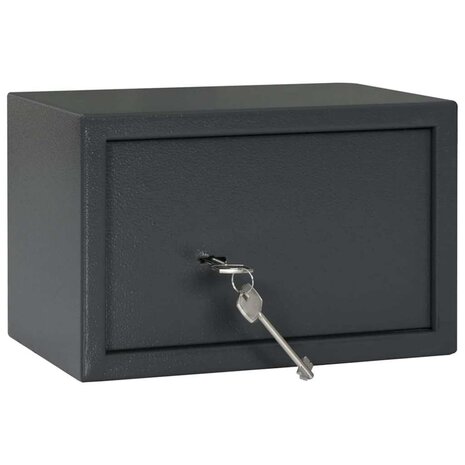 Kluis met slot Donkergrijs 31 x 20 x 20 cm Staal 2