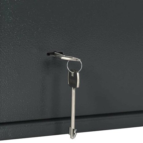 Kluis met slot Donkergrijs 35 x 25 x 25 cm Staal 7