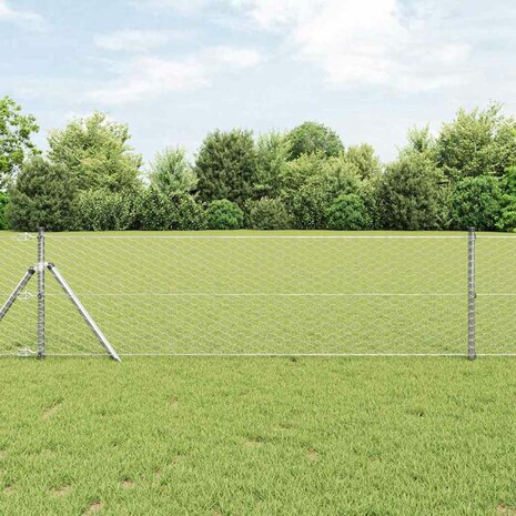 Afrasteringspaal Zilver 10 x 0,6 m (36 mm gaas) Staal 1