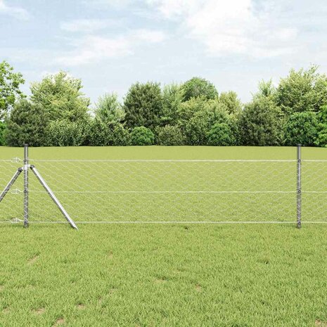 Afrasteringspaal Zilver 10 x 0,8 m (50 mm gaas) Staal 1