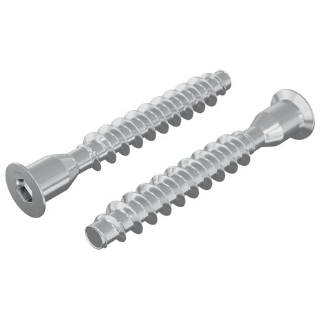 Confirmatschroeven 2 pcs Zilver &Oslash;7 x 50 mm Metaal 2