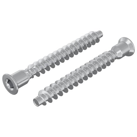 Confirmatschroeven 2 pcs Zilver &Oslash;7 x 58 mm Metaal 2