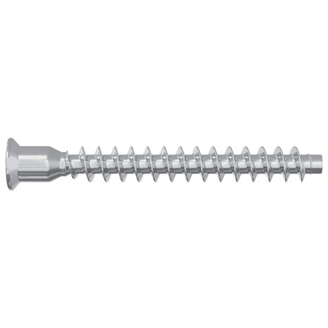 Confirmatschroeven 12 pcs Zilver &Oslash;7 x 58 mm Metaal 4