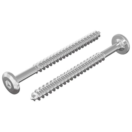 Houtschroeven 2 pcs Zilver M6 x 70 mm Staal 2