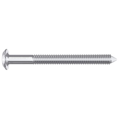 Meubelschroeven 2 pcs Zilver M6 x 60 mm Staal 4