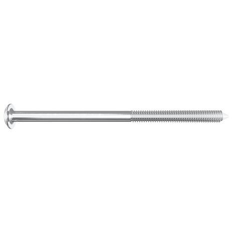 Meubelschroeven 2 pcs Zilver M6 x 100 mm Staal 4