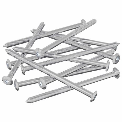 Meubelschroeven 12 pcs Zilver M6 x 100 mm Staal 2