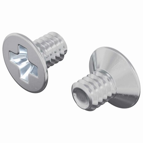 Verzonken schroeven 2 pcs Zilver M4 x 6 mm Staal 2
