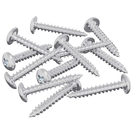 Houtschroeven 12 pcs Zilver M4 x 25 mm Staal 2