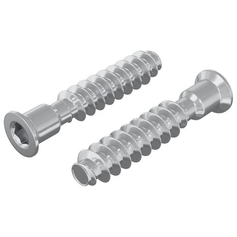 Hoofdkapbout 2 pcs Zilver M7 x 40 mm Staal 2