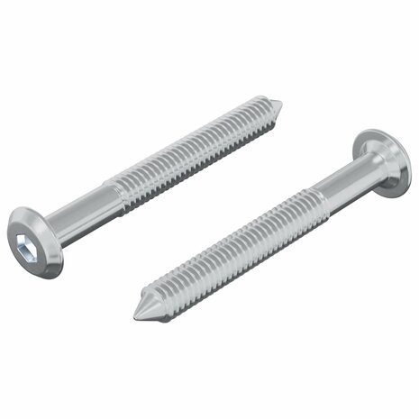 Bout 2 pcs Zilver M6 x 50 mm Staal 2