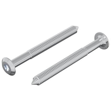 Bout 2 pcs Zilver M6 x 60 mm Staal 2