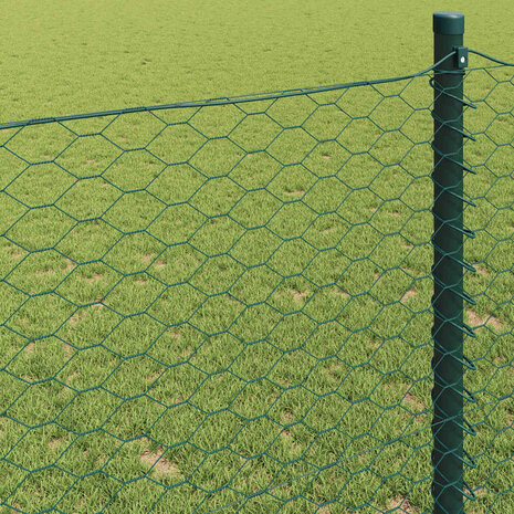 Hexagon Hek Groen 0,4 x 25 m PVC 4
