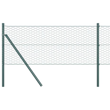 Hexagon Hek Groen 0,6 x 25 m PVC 3