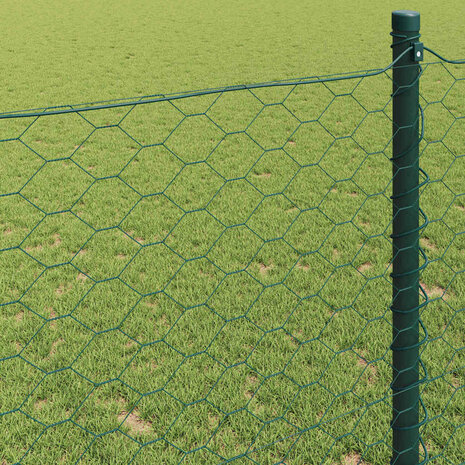 Hexagon Hek Groen 0,6 x 25 m PVC 4