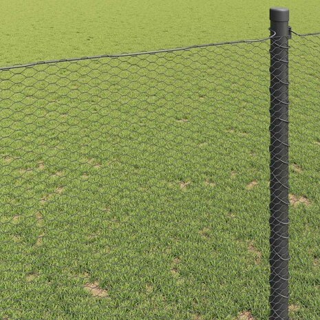 Hexagon Hek Grijs 1,2 x 10 m PVC 4