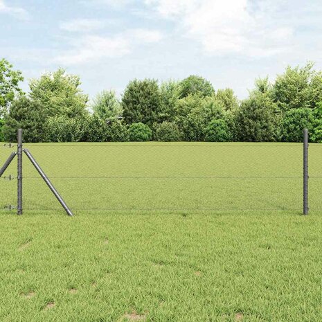 Hexagon Hek Grijs 0,4 x 25 m PVC 1