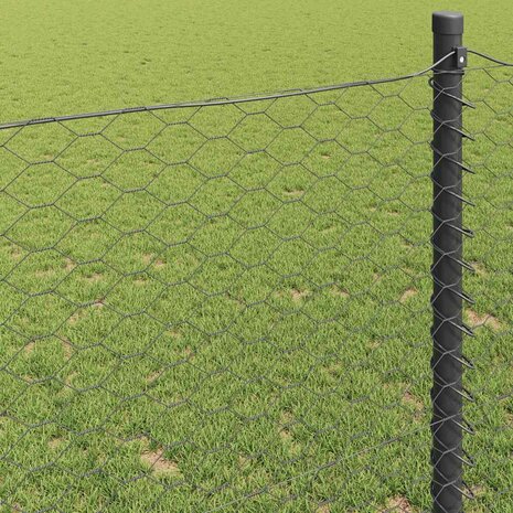 Hexagon Hek Grijs 0,4 x 25 m PVC 4