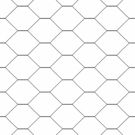 Hexagon Hek Grijs 0,4 x 25 m PVC 7