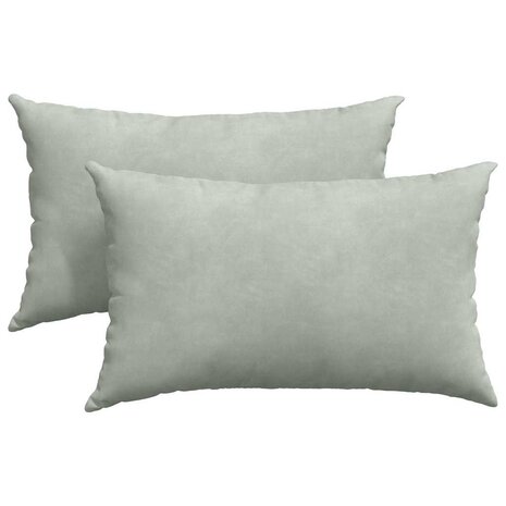 Sofa Kussens 2 stuks Lichtgrijs 50 x 30 cm Cordstof 2