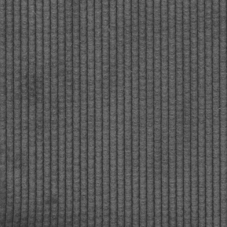 Sofa Kussens 2 stuks Donkergrijs 50 x 30 cm Cordstof 8