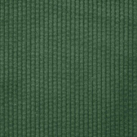 Sofa Kussens 2 stuks Donkergroen 50 x 30 cm Cordstof 8