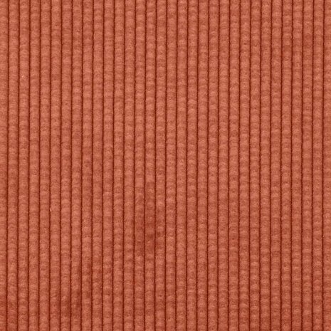 Sofa Kussens 2 stuks Rood-oranje 50 x 30 cm Cordstof 8