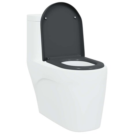 Toiletzitting Antraciet 49 x 36 x 4 cm Duroplast 2