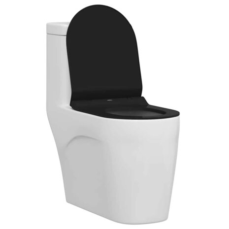 Toiletzitting Verstelbaar Zwart 50 x 36,5 x 5 cm Polypropyleen 3