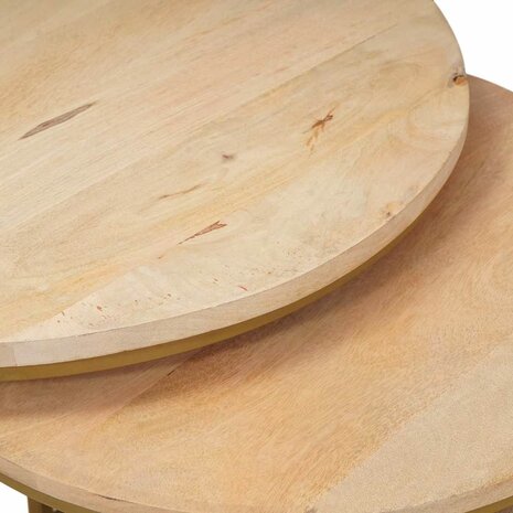 Salontafelset2 pcs Bruin Massief mangohout en staal 8
