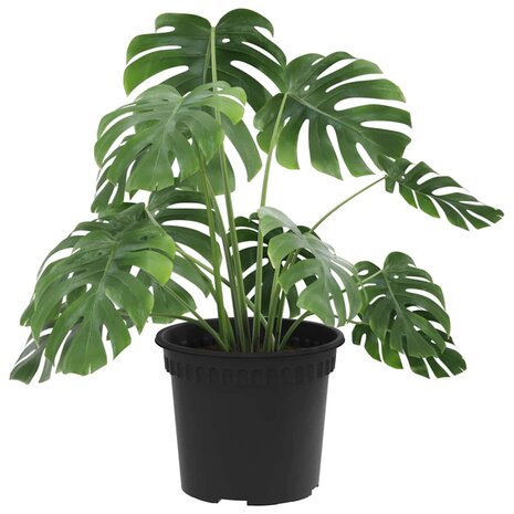 Ronde Bloempot 6 pcs Zwart &Oslash; 12,5 x 10 cm Kunststof 3