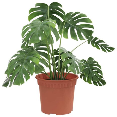 Ronde Bloempot 24 pcs Baksteenrood &Oslash; 12,5 x 10 cm Kunststof 3