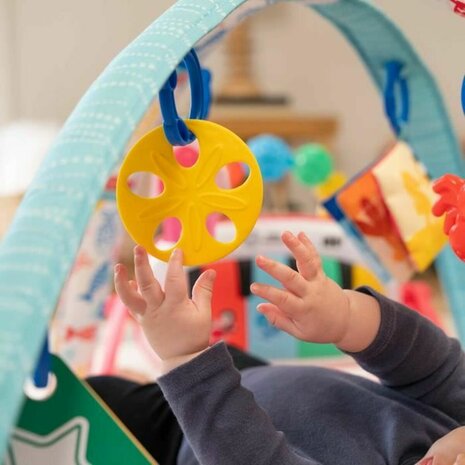 Speelkleed Baby Einstein 3