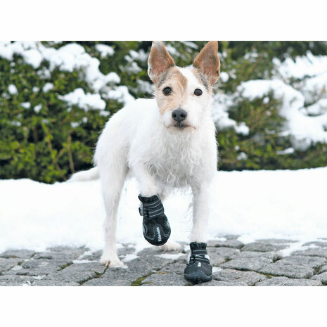 Hondenschoenen Trixie Zwart 3
