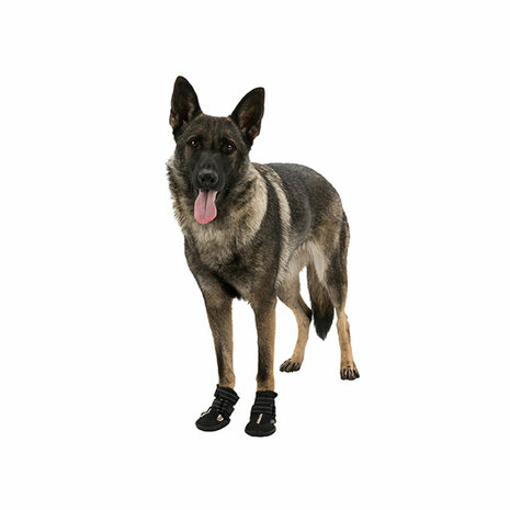 Hondenschoenen Trixie 19465 Zwart L 5