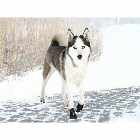 Hondenschoenen Trixie Zwart L/XL 3