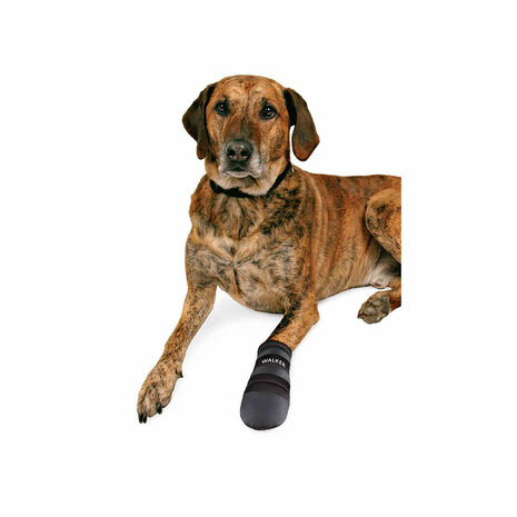 Hondenschoenen Trixie Walker Care Zwart XXL 3