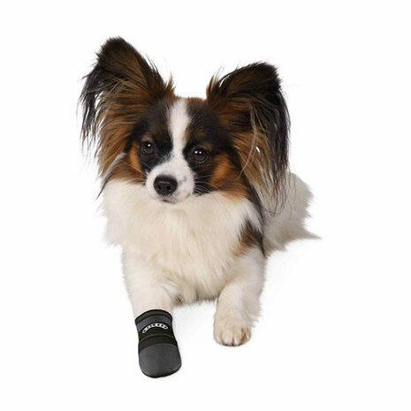 Hondenschoenen Trixie Walker Care Zwart M 4