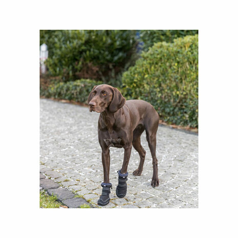 Hondenschoenen Trixie Zwart XL 7