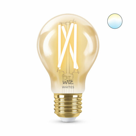 Gloeilamp Wiz Multicolour Gouden F 7 W 50 W E27 3