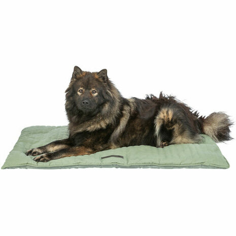 Hondenmatras Trixie 70 &times; 50 cm Hond 4