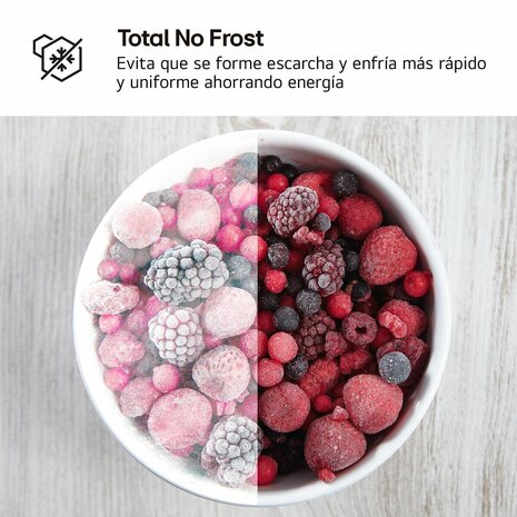 Koel-vriescombinatie LG GTBV22SWNJ Wit 5