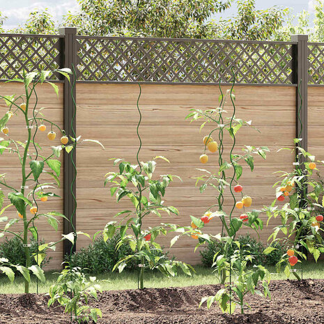 Plantondersteuning 20 pcs Groen 150 x 0,6 x 0,6 cm Staal 1