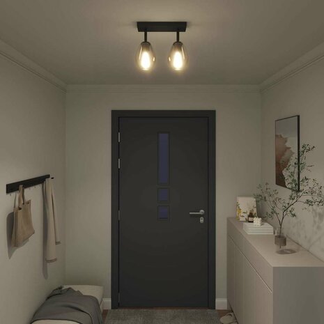 Plafondspot Zwart 33 x 13 x 26 cm Glas en Metaal 4