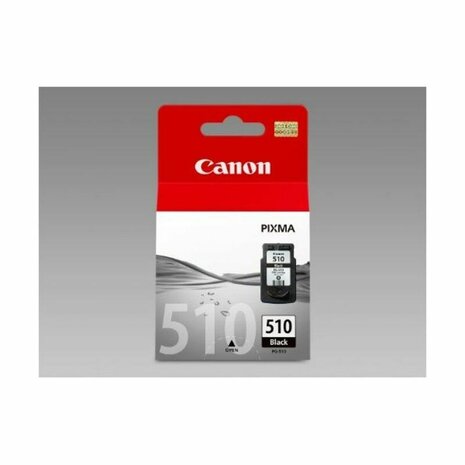 Originele inktcartridge Canon 2970B001             4