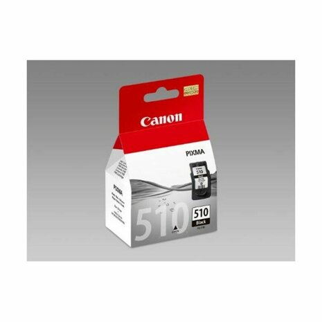 Originele inktcartridge Canon 2970B001             5