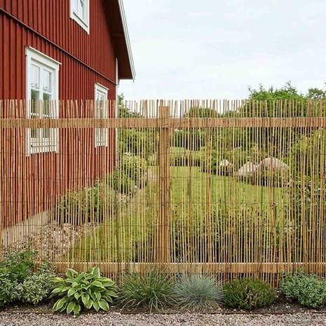 Tuinhek Gecarboniseerd riet 500 x 100 cm 3